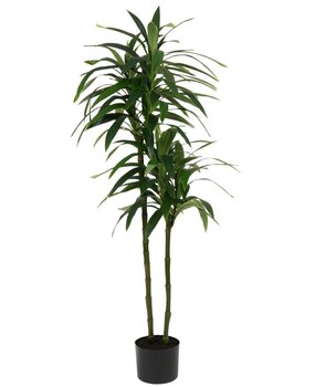 Greenmoods Kunstig Dracaena Tre 180cm Greenmoods Kunstig Dracaena Tre 180cm