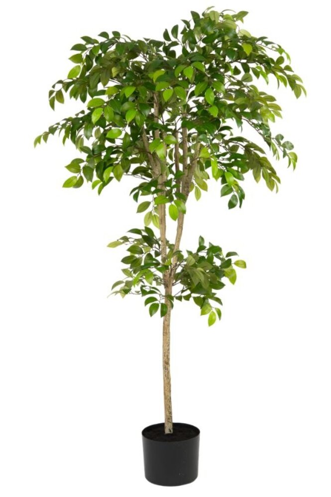 Greenmoods Kunstig Sakaki Tre 180cm