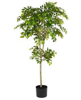 Greenmoods Kunstig Sakaki Tre 180cm