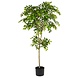 Greenmoods Kunstig Sakaki Tre 180cm