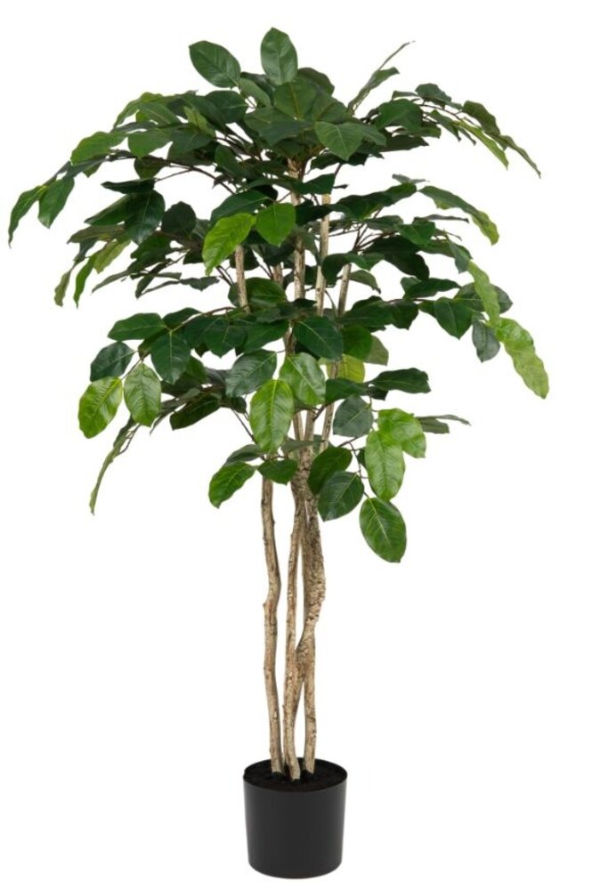 Greenmoods Kunstig Banyan Fikentre 150cm