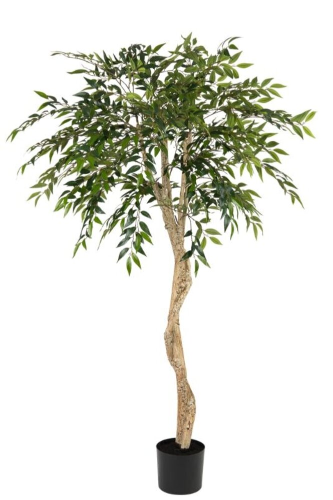 Greenmoods Kunstige Smilax Twist 180cm