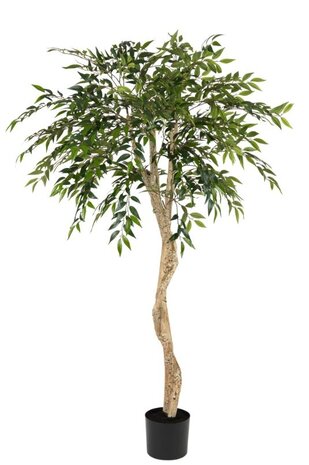Greenmoods Kunstige Smilax Twist 180cm