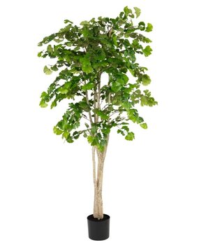 Greenmoods Kunstig Gingko Tempeltre 180cm