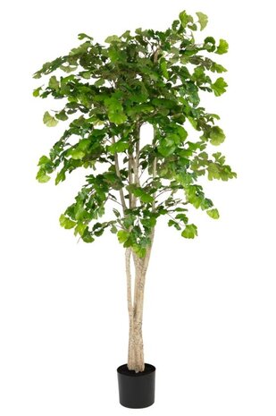 Greenmoods Kunstig Gingko Tempeltre 180cm