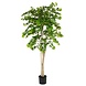 Greenmoods Kunstig Gingko Tempeltre 180cm