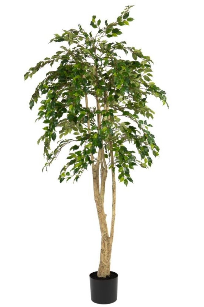 Greenmoods Kunstig Fikentre 180cm