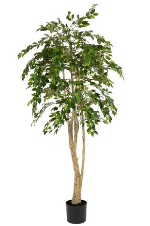 Greenmoods Kunstig Fikentre 180cm