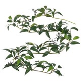 Greenmoods Kunstige Smilax Girlander 180cm Greenmoods Kunstige Smilax Girlander 180cm