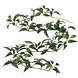 Greenmoods Kunstige Smilax Girlander 180cm