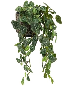 Greenmoods Kunstig Hengeplante Fittonia Grønnhvit 70cm Greenmoods Kunstig Hengeplante Fittonia Grønnhvit 70cm