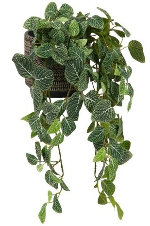 Greenmoods Kunstig Hengeplante Fittonia Grønnhvit 70cm