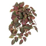 Greenmoods Kunstig Hengeplante Fittonia Rødhvit 70cm