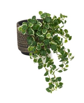 Greenmoods Kunstig Hengeplante Pumila 50cm