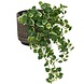 Greenmoods Kunstig Hengeplante Pumila 50cm