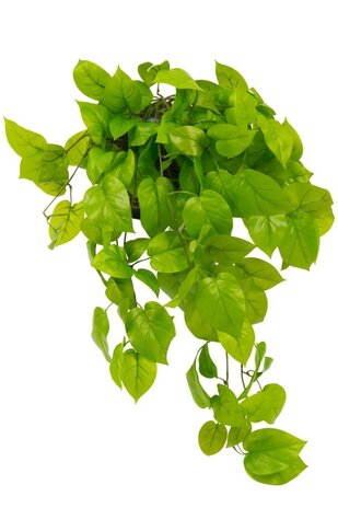 Greenmoods Kunstig Pothos Busk Deluxe 90cm
