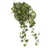 Greenmoods Kunstig Eføy Deluxe Grønnhvit 60cm Greenmoods Kunstig Eføy Deluxe Grønnhvit 60cm