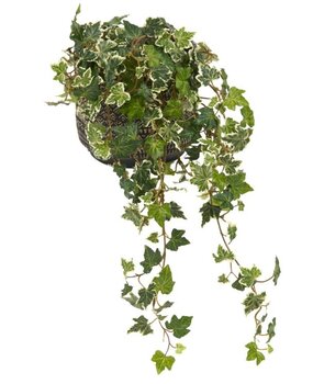 Greenmoods Kunstig Eføy Deluxe Grønnhvit 60cm Greenmoods Kunstig Eføy Deluxe Grønnhvit 60cm