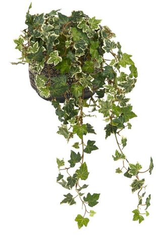 Greenmoods Kunstig Eføy Deluxe Grønnhvit 60cm