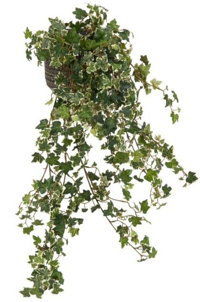 Greenmoods Kunstig Eføy Deluxe Fyldig Grønnhvit 90 cm