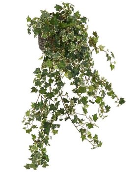 Greenmoods Kunstig Eføy Deluxe Fyldig Grønnhvit 90 cm Greenmoods Kunstig Eføy Deluxe Fyldig Grønnhvit 90 cm