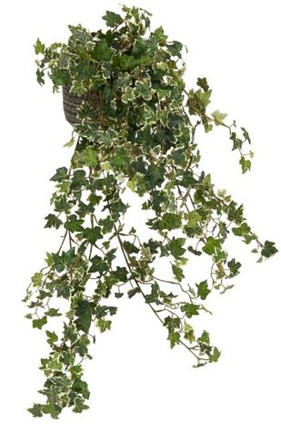 Greenmoods Kunstig Eføy Deluxe Fyldig Grønnhvit 90 cm