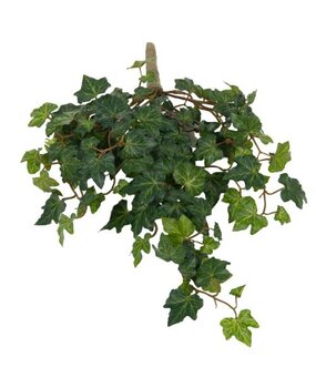 Greenmoods Kunstig Eføy Deluxe Grønn 40cm Greenmoods Kunstig Eføy Deluxe Grønn 40cm