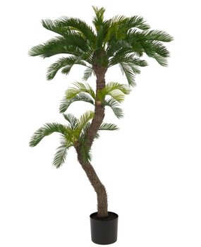 Greenmoods Kunstig Cycas Palme Twist UV 160cm Greenmoods Kunstig Cycas Palme Twist UV 160cm