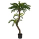 Greenmoods Kunstig Cycas Palme Twist UV 160cm