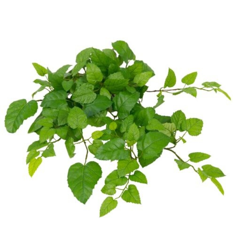 Greenmoods Kunstig Hengende Stuevin Busk Grønn 70cm