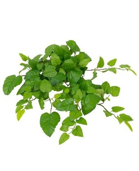 Greenmoods Kunstig Hengende Stuevin Busk Grønn 70cm Greenmoods Kunstig Hengende Stuevin Busk Grønn 70cm