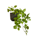 Greenmoods Kunstig Pothos Busk Deluxe 60cm