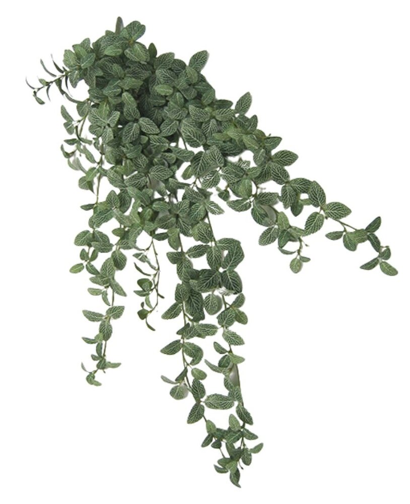 Greenmoods Kunstig Fittonia Miniblad Grønnhvit 90cm