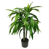 Greenmoods Kunstig Dracaena Plante 100cm Greenmoods Kunstig Dracaena Plante 100cm