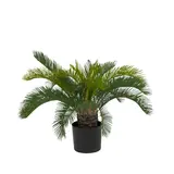 Greenmoods Kunstig Cycas Palme Deluxe UV 70cm Greenmoods Kunstig Cycas Palme Deluxe UV 70cm