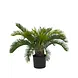 Greenmoods Kunstig Cycas Palme Deluxe UV 70cm