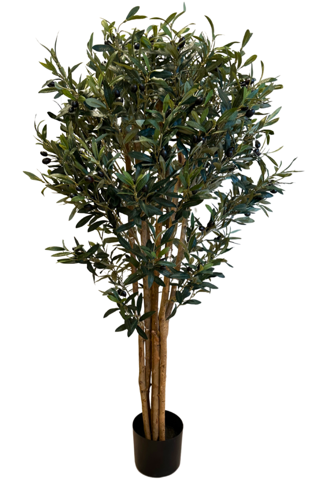 Greenmoods Kunstig Oliventre med Oliven UV 120cm
