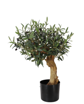 Greenmoods Kunstig Oliventre 60cm UV