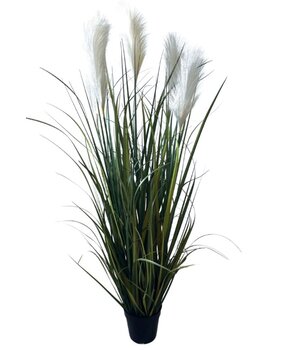 Greenmoods Kunstige Pampas Gress 150cm Greenmoods Kunstige Pampas Gress 150cm