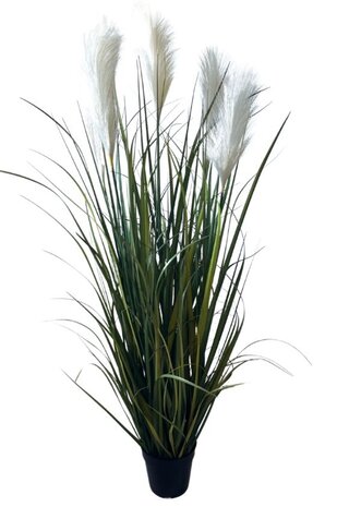 Greenmoods Kunstige Pampas Gress  150cm