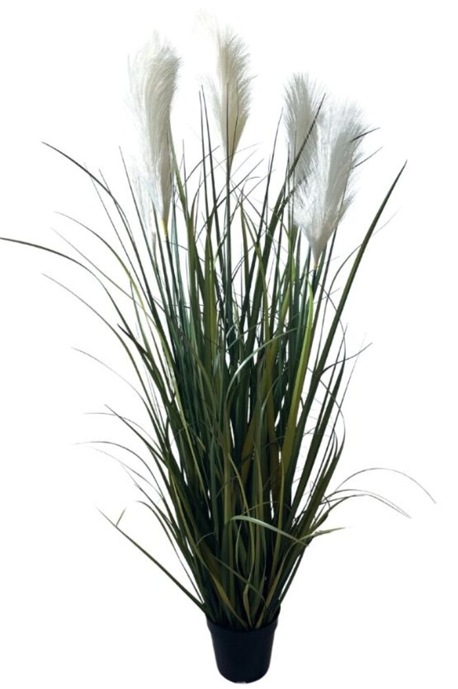 Greenmoods Kunstige Pampas Gress  120cm