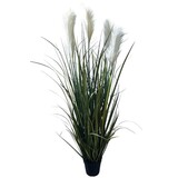 Greenmoods Kunstige Pampas Gress 120cm Greenmoods Kunstige Pampas Gress 120cm