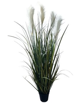 Greenmoods Kunstige Pampas Gress 120cm Greenmoods Kunstige Pampas Gress 120cm
