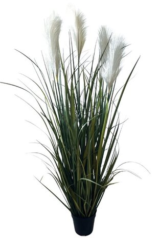 Greenmoods Kunstige Pampas Gress  120cm
