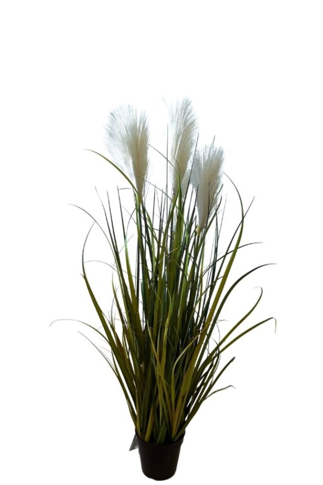 Greenmoods Kunstige Pampas Gress  90cm