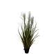 Greenmoods Kunstige Pampas Gress  90cm