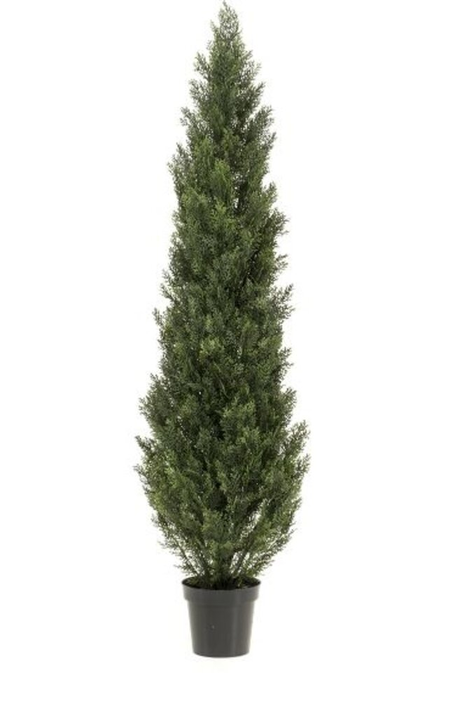Greenmoods Kunstig Tuja UV 180cm