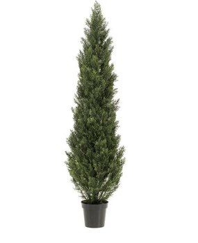 Greenmoods Kunstig Tuja UV 180cm