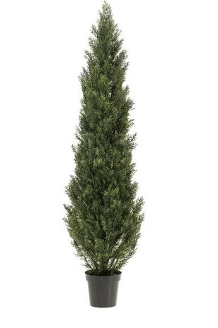 Greenmoods Kunstig Tuja UV 180cm