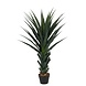 Greenmoods Kunstig Agave Pandora UV 120cm